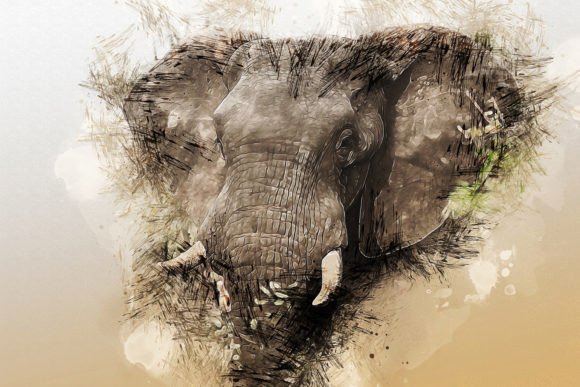 Download Printable Animal Graphics #19 - Printable Collection