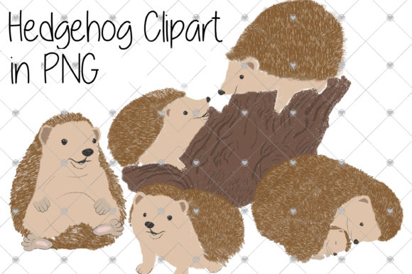 Download Hedgehogs, Hedgehog, Forrest Animals, - Forrest animals Collection