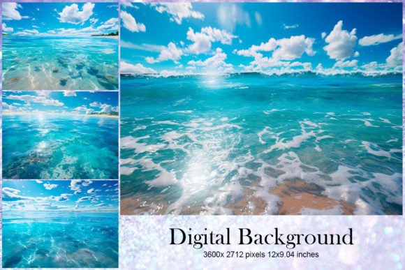 Download Shells Sea Beach Background Wallpaper - Premium Bundle