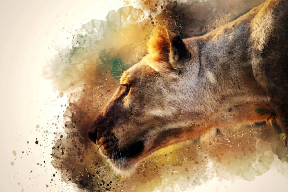 Download Printable Animal Graphics #07 - Printable Collection