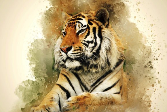 Download Printable Animal Graphics #11 - Printable Collection