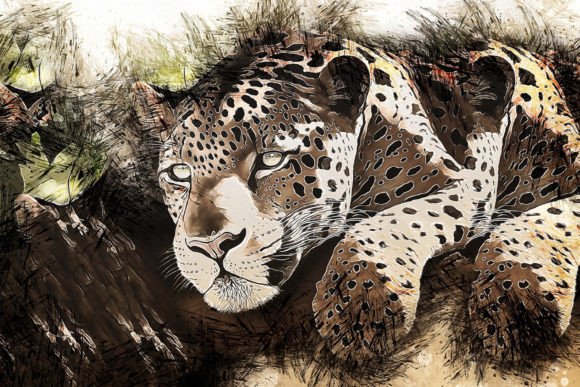 Download Printable Animal Graphics #27 - Printable Collection