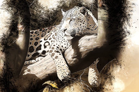 Download Printable Animal Graphics #26 - Printable Collection